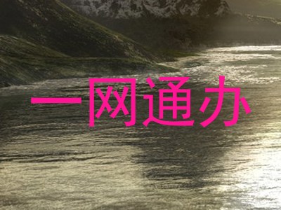 一网通办