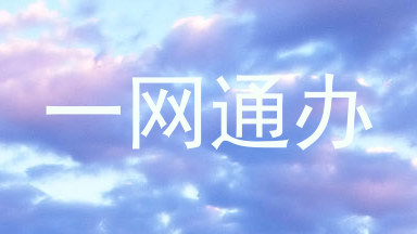 一网通办