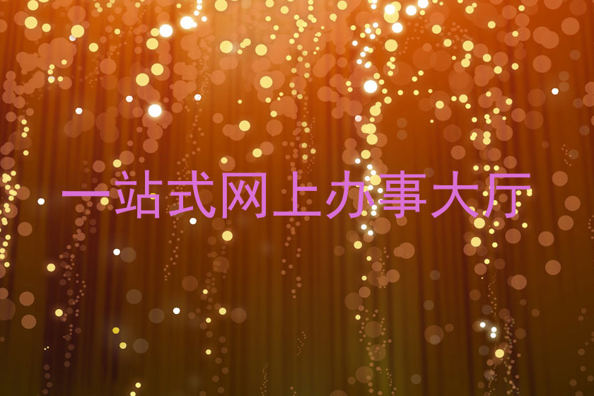 一站式网上办事大厅