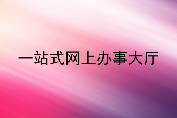 一站式网上办事大厅