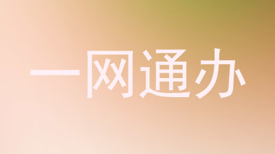 一网通办
