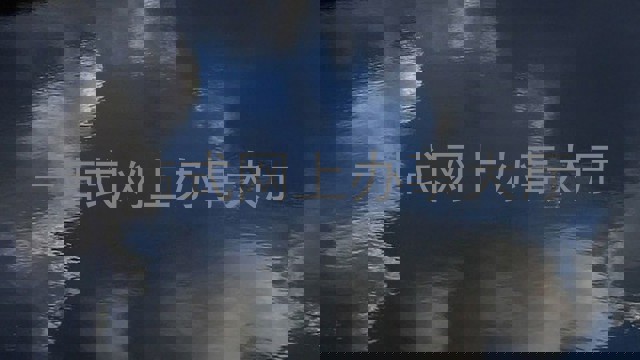 一站式网上办事大厅