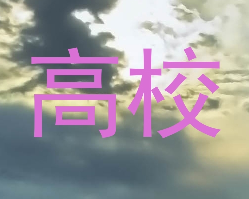 高校