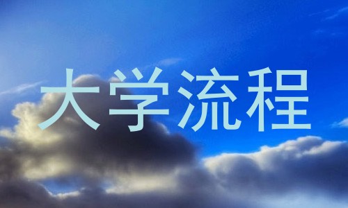 大学流程