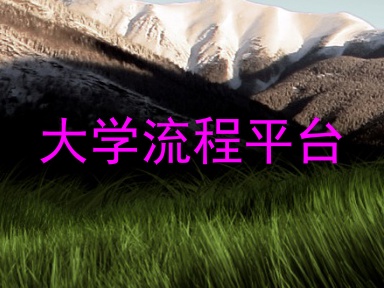 大学流程平台