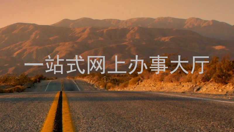 一站式网上办事大厅