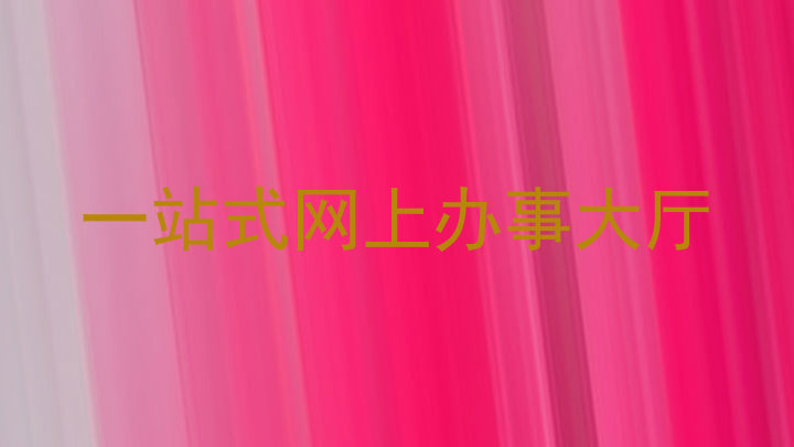 一站式网上办事大厅