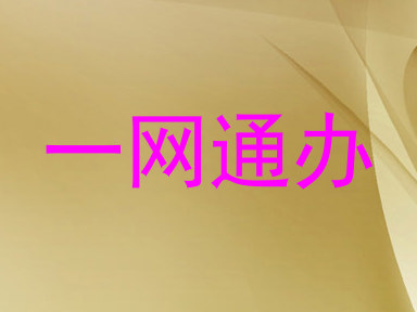 一网通办