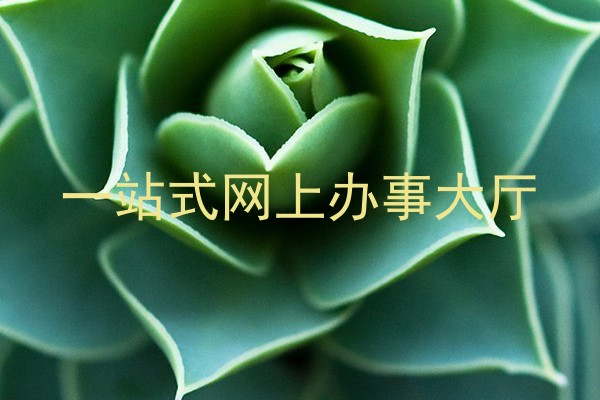 一站式网上办事大厅