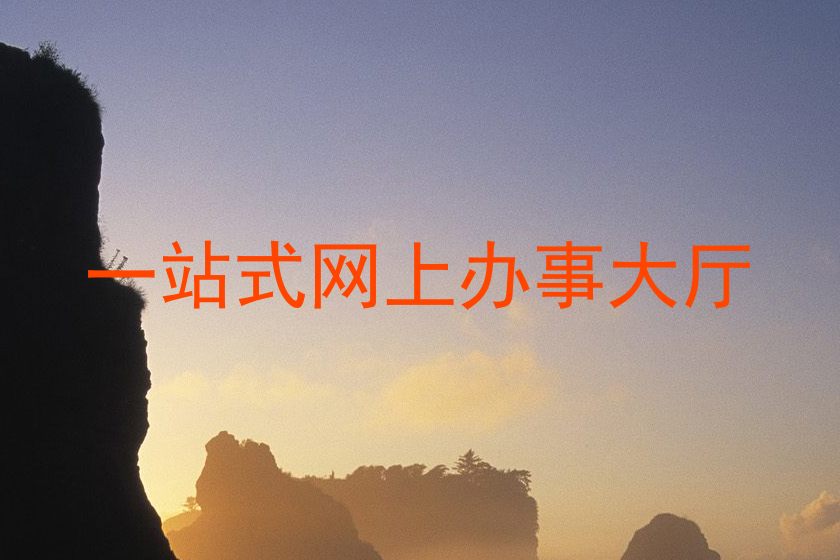 一站式网上办事大厅