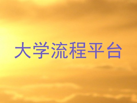 大学流程平台