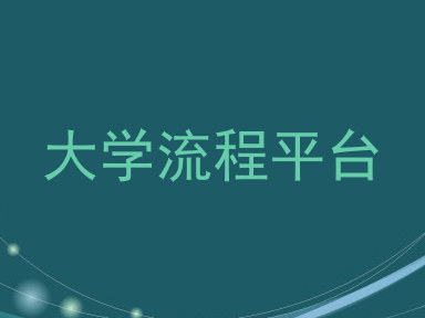 大学流程平台
