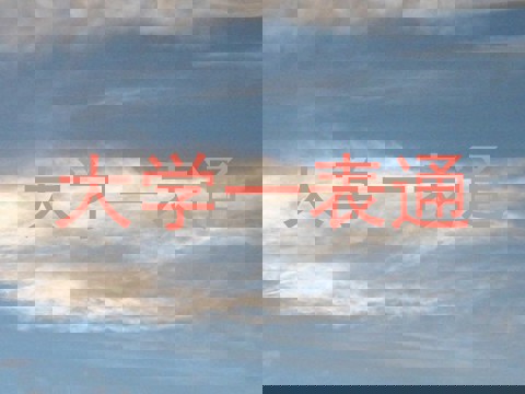 大学一表通