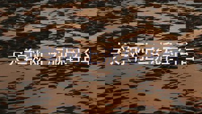 大学网上流程平台