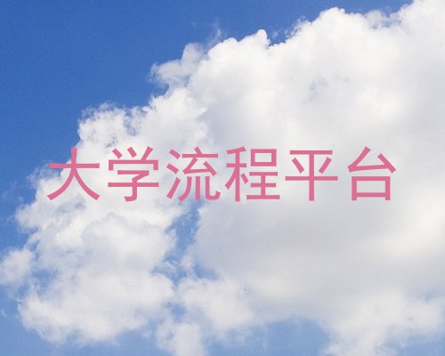 大学流程平台