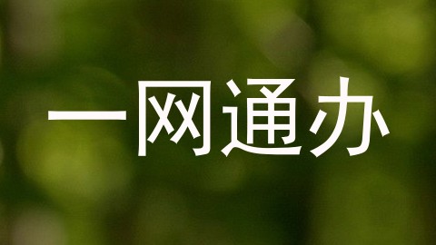 一网通办