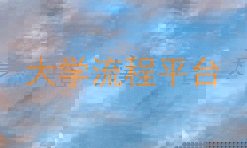 大学流程平台