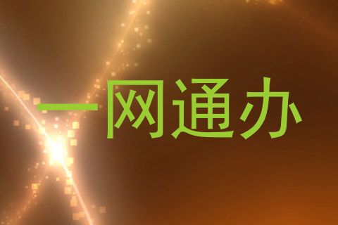 一网通办