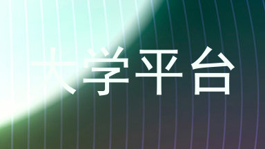 大学平台