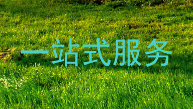 一站式服务