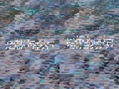 大学网上办事大厅