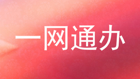 一网通办