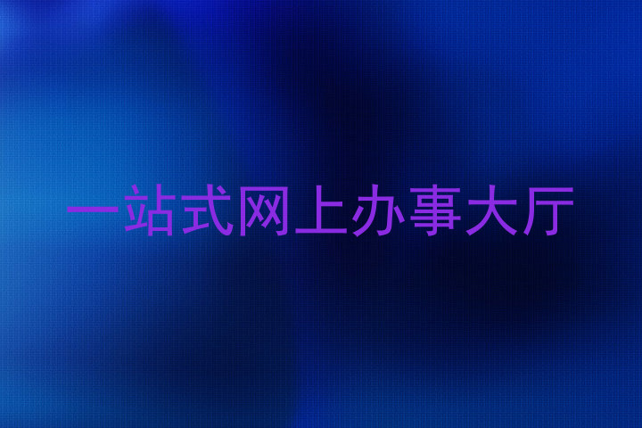 一站式网上办事大厅