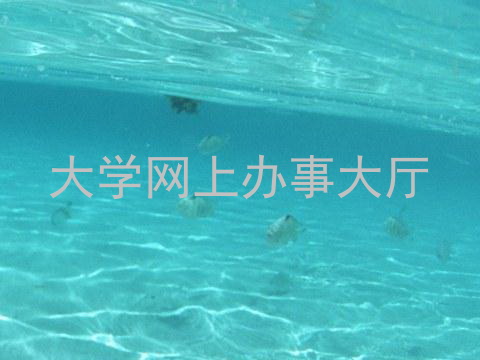 大学网上办事大厅