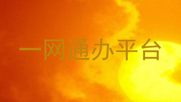 一网通办平台
