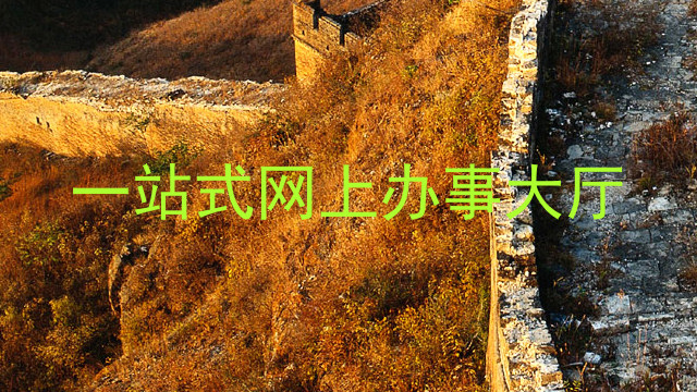 一站式网上办事大厅