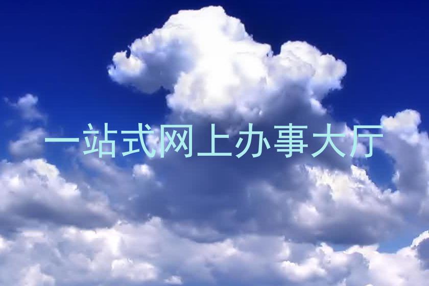 一站式网上办事大厅