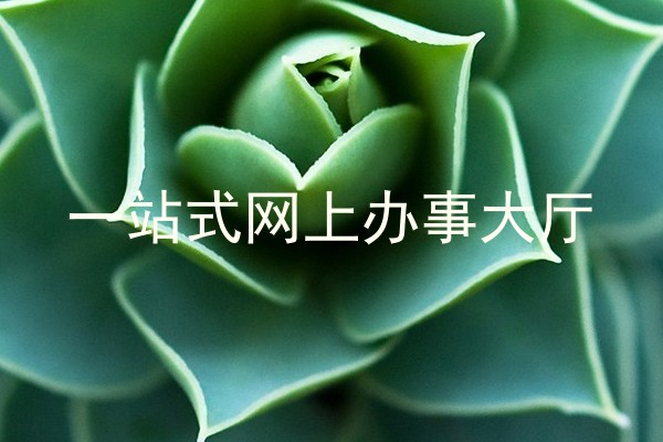 一站式网上办事大厅