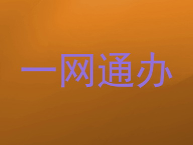 一网通办