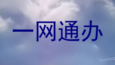 一网通办