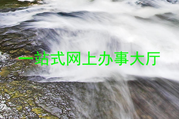 一站式网上办事大厅