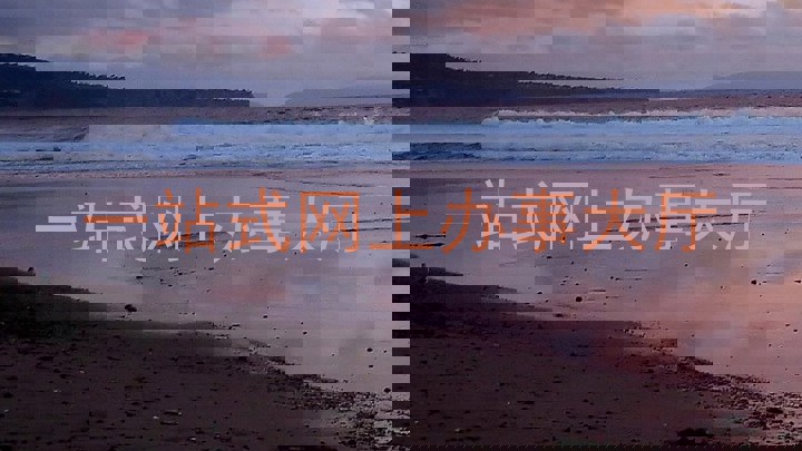 一站式网上办事大厅