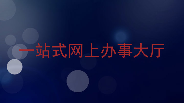 一站式网上办事大厅