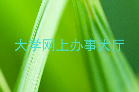 大学网上办事大厅