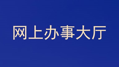 网上办事大厅