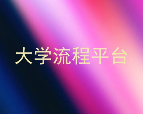 大学流程平台