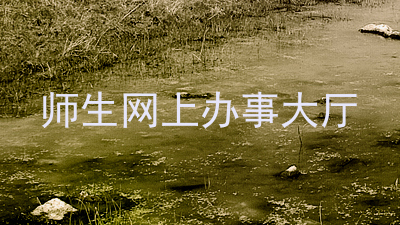 师生网上办事大厅