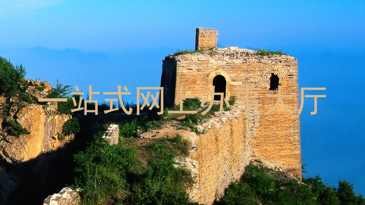 一站式网上办事大厅