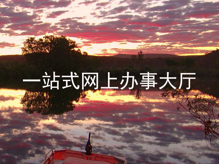 一站式网上办事大厅