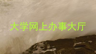 大学网上办事大厅