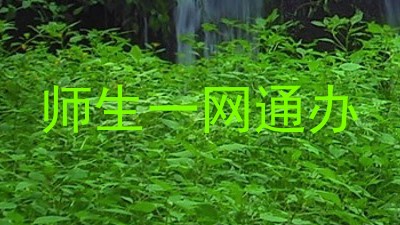 师生一网通办