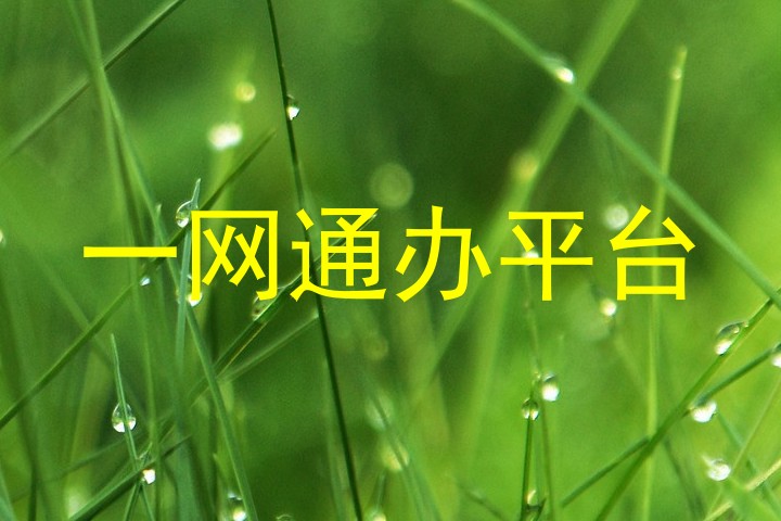 一网通办平台