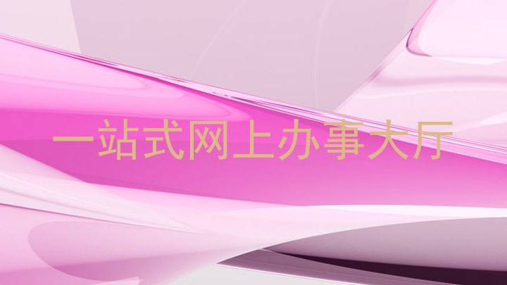 一站式网上办事大厅