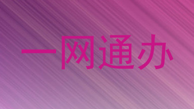 一网通办