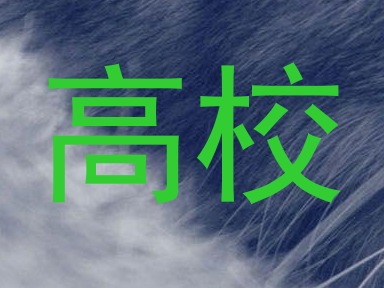 高校