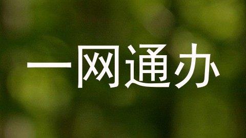 一网通办